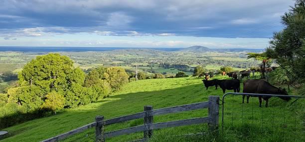 Echoing Valley Run