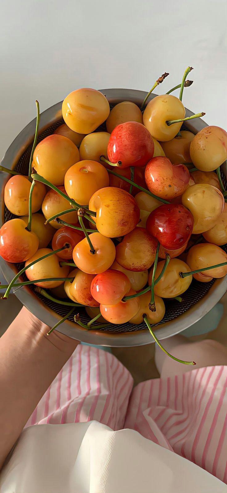 Sun-Kissed Orchard Bounty Mix